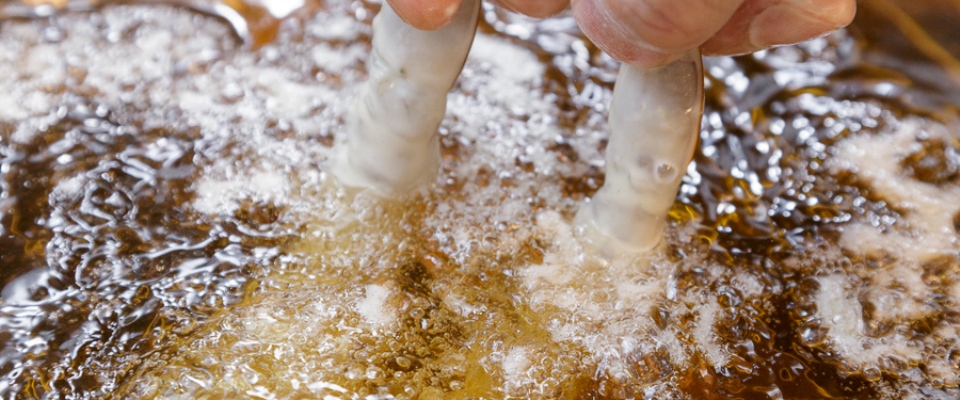 和音食堂のめにゅーぺーじです